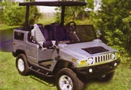 HummerSilvSm.jpg