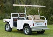 HummerWhtBckSml.jpg
