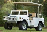 HummerWhtSml.jpg